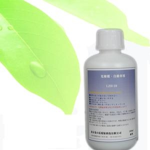 汽車專用型-甲醛異味清除