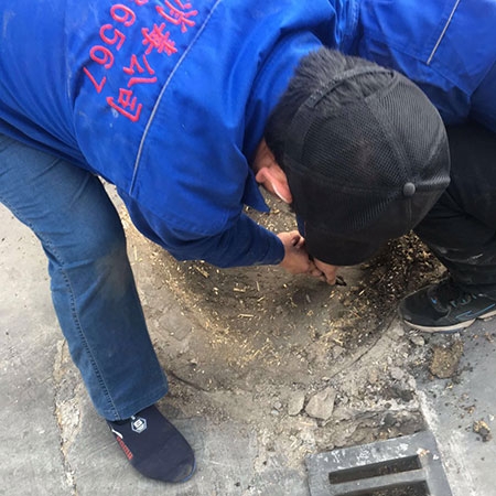 專業(yè)消毒服務(wù)